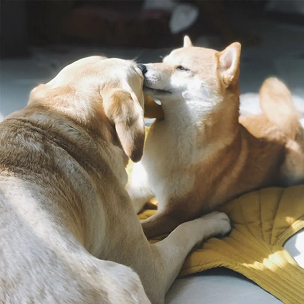 Leafy Tail ™ Pet Blanket