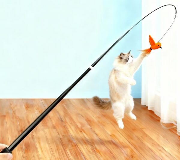 引き込み式の猫用ティーザー。猫と遊ぶためにかがむ必要はありません。